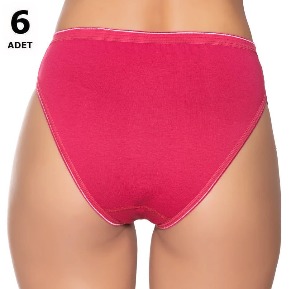 Sedef Yıldızı Kadın Likralı  Bikini 6' lı 1065