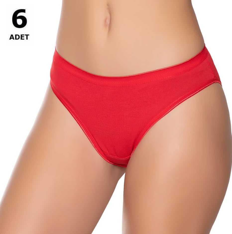 Sedef Yıldızı Kadın Likralı  Bikini 6' lı 1065