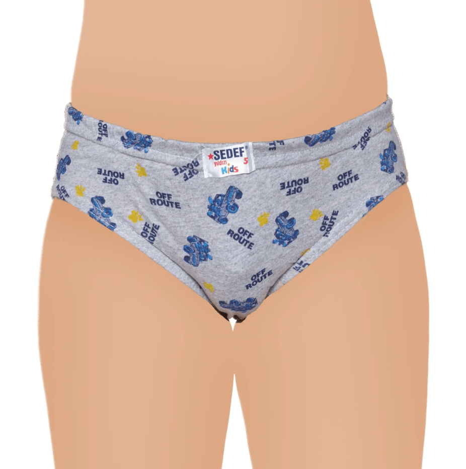 Sedef Yıldızı Erkek Çocuk Empirme Kom Slip Külot 1081