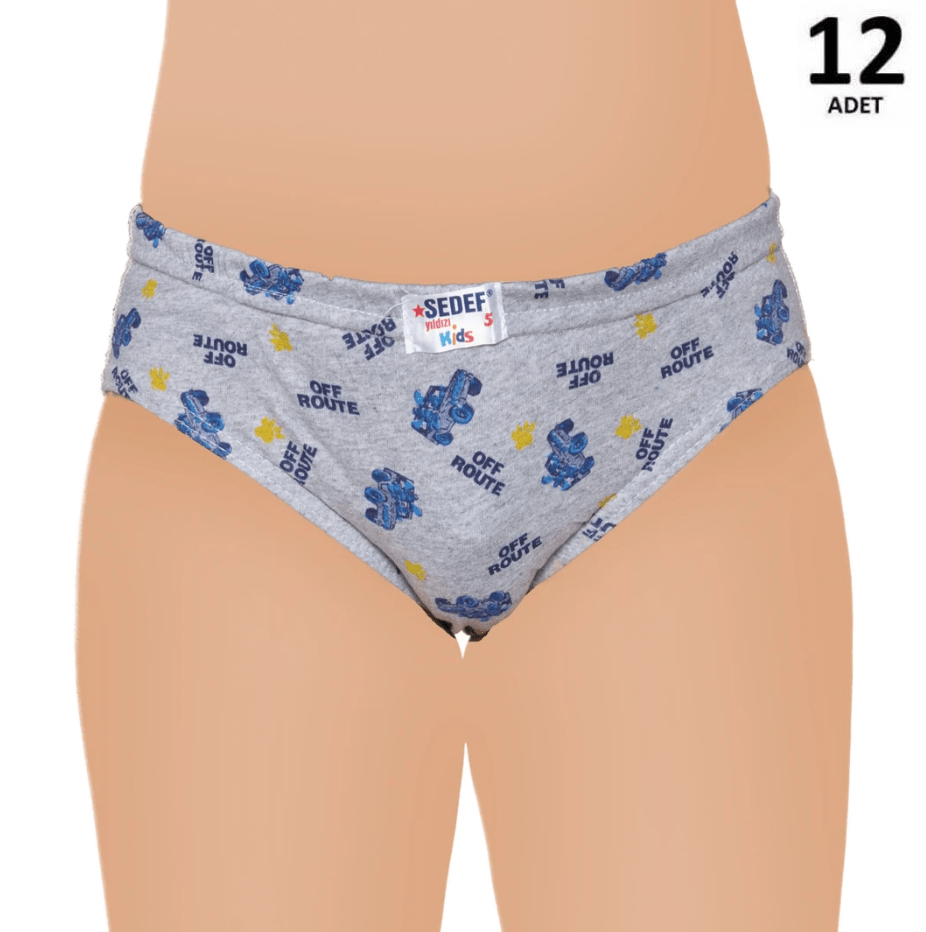 Sedef Yıldızı Erkek Çocuk Empirme Kom Slip Külot 12'li 1081
