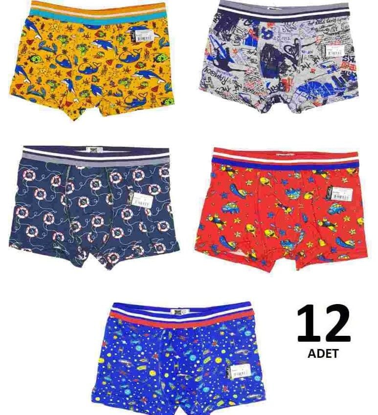 Tutku 0254 Erkek Çocuk Elastan Emprime Boxer 12'li