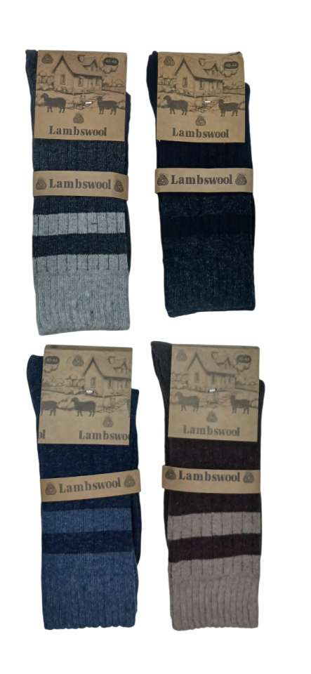 Miss Bella Kışlık Lambswool Yün Erkek Çorap 12'li