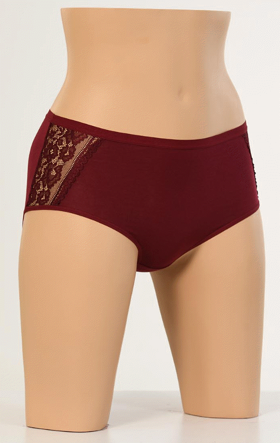 Dondeza Yüksekbel İki Yanı Dantel Bayan Külot 6'lı