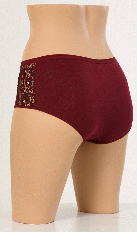 Dondeza Yüksekbel İki Yanı Dantel Bayan Külot 6'lı