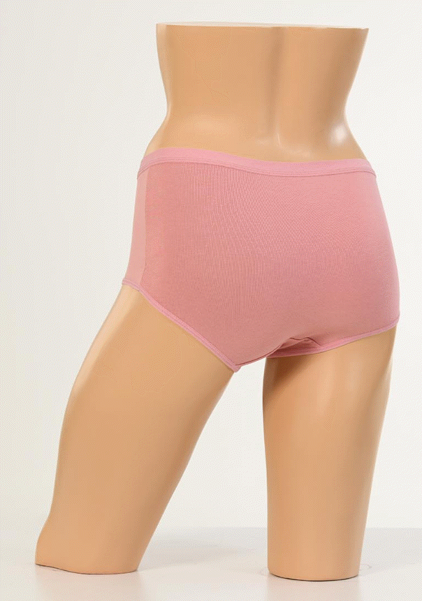Dondeza Yüksek Bel Extre Yumuşak Toparlayıcı Kadın Külot 12'li