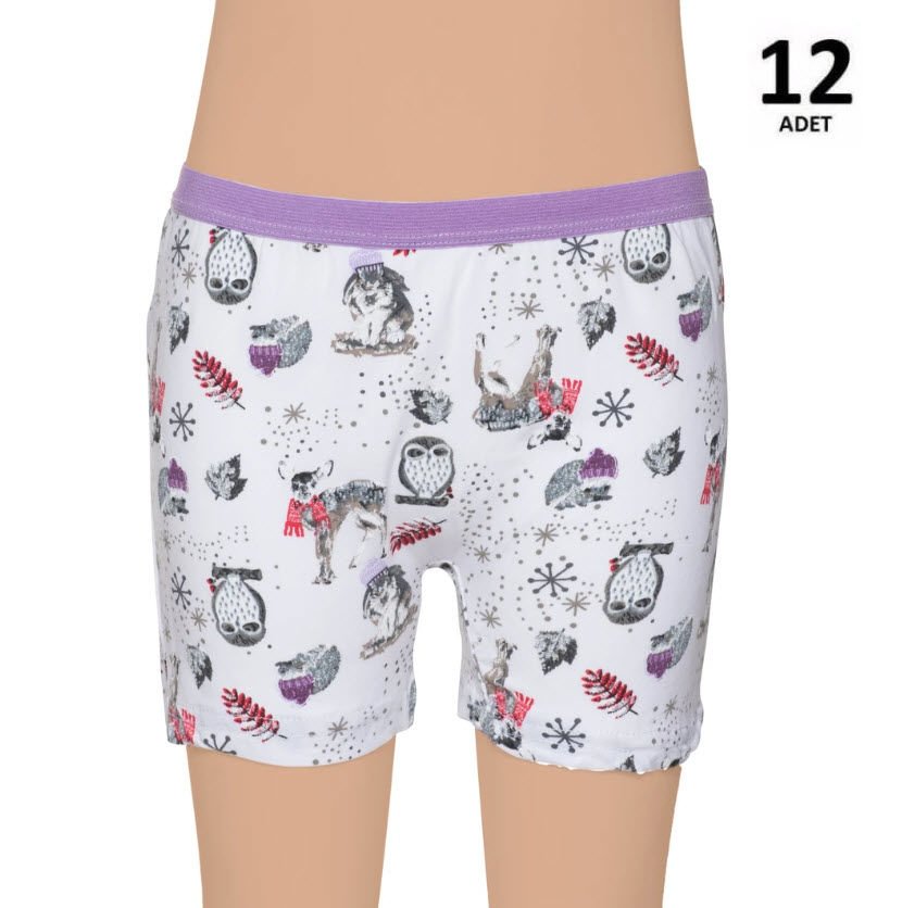 Gümüş Kız Çocuk Likralı Empirme Boxer 12'li 3072