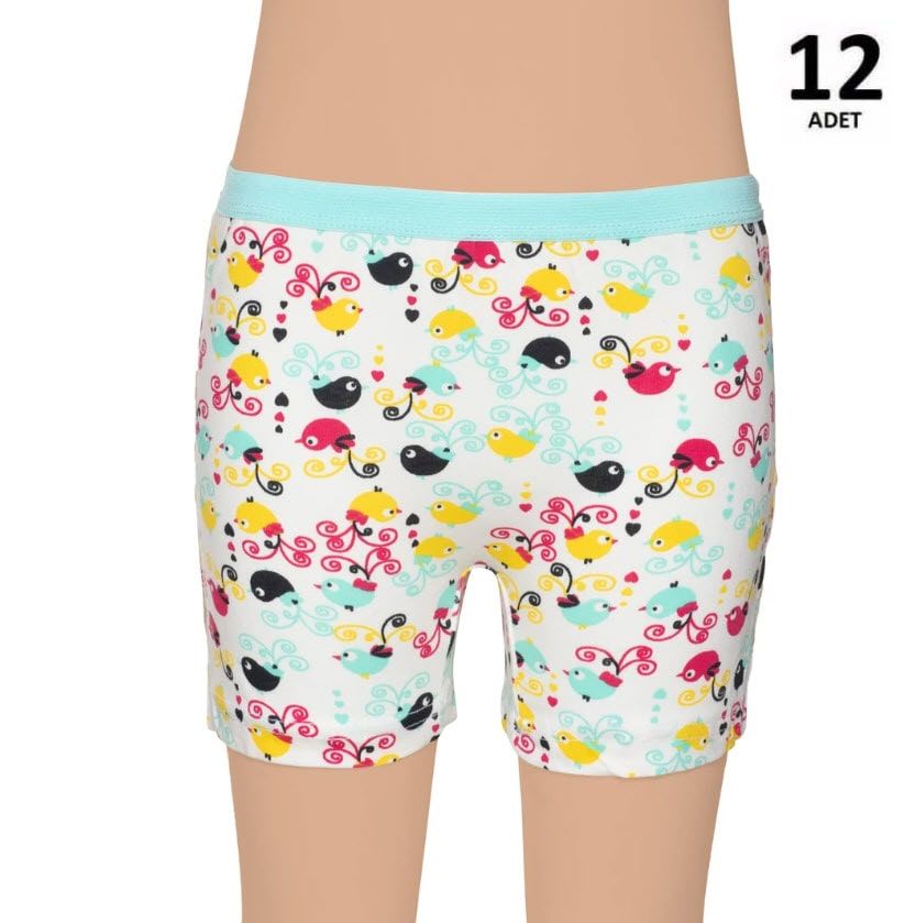 Gümüş Kız Çocuk Likralı Empirme Boxer 12'li 3072