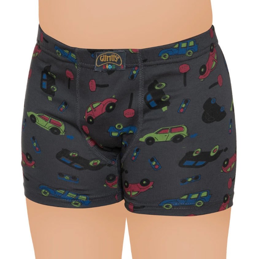 Gümüş Erkek Çocuk Likralı Empirme Boxer 3089