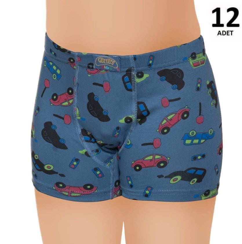 Gümüş Erkek Çocuk Likralı Empirme Boxer 12'li 3089