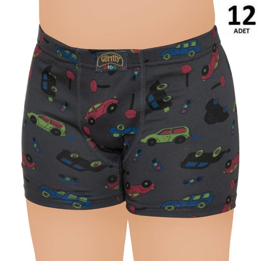 Gümüş Erkek Çocuk Likralı Empirme Boxer 12'li 3089