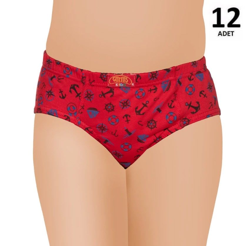 Gümüş  Erkek Çocuk Likralı Empirme Slip Külot 12'li 3090