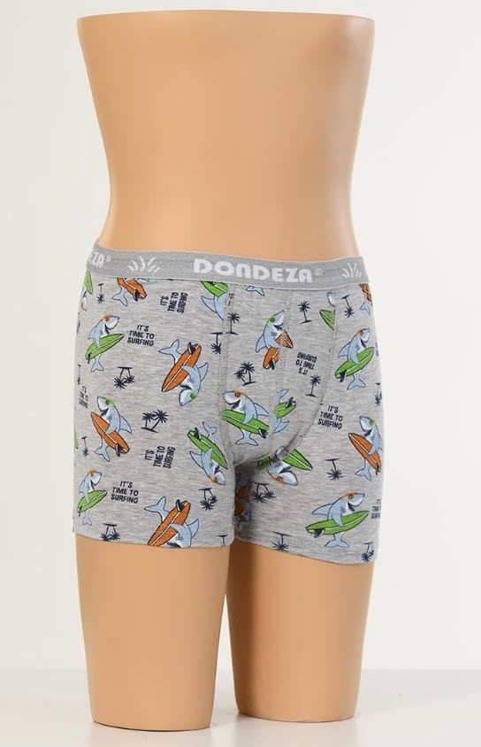 Dondeza Desenli Erkek Çocuk Bozer 6'lı