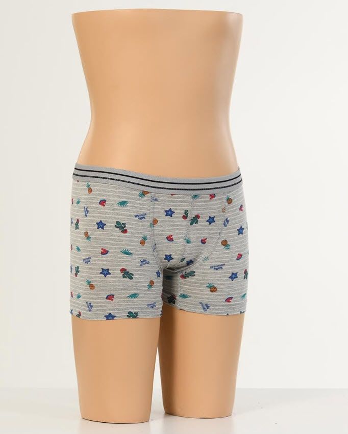 Aldeza Desenli Çocuk Boxer 6'lı