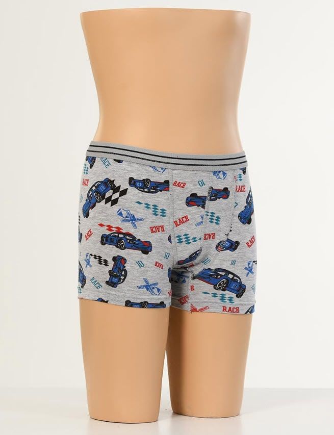 Aldeza Desenli Çocuk Boxer 6'lı