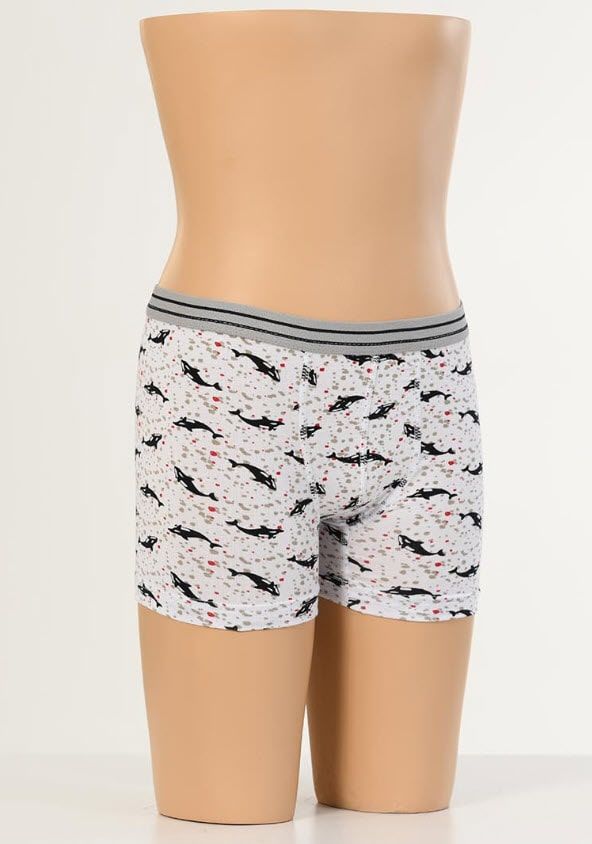 Aldeza Desenli Çocuk Boxer 6'lı