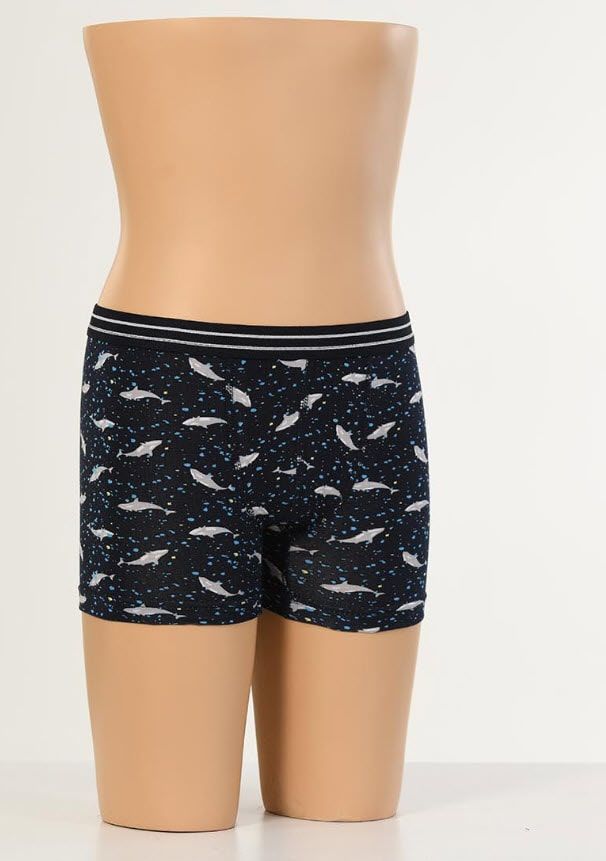 Aldeza Desenli Çocuk Boxer 12'li