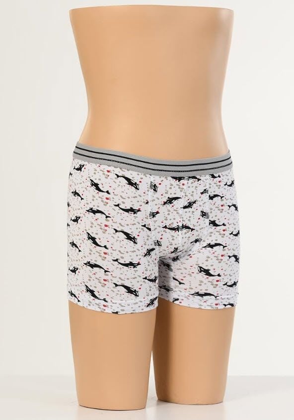 Aldeza Desenli Çocuk Boxer 12'li