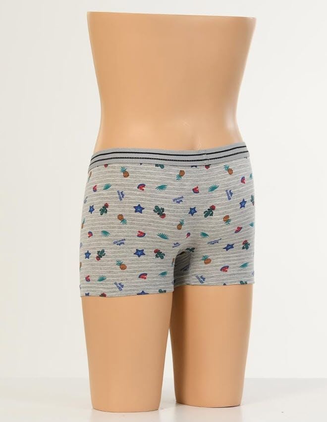 Aldeza Desenli Çocuk Boxer 12'li