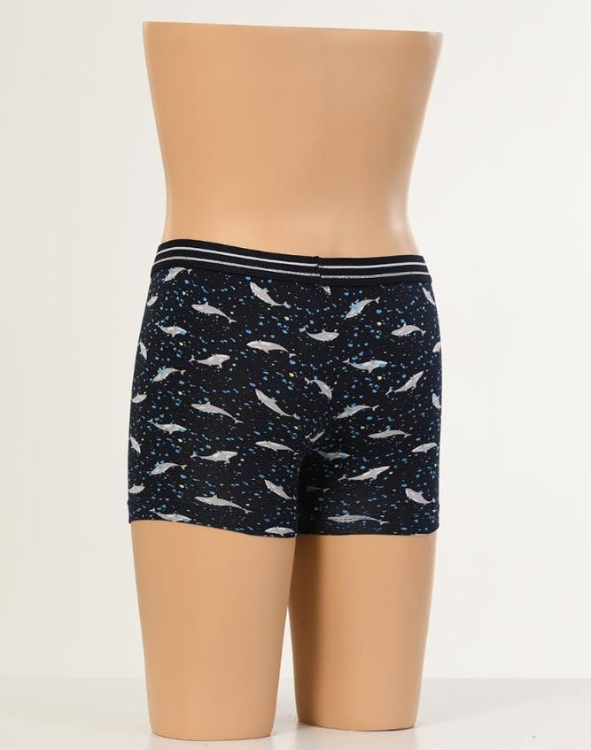 Aldeza Desenli Çocuk Boxer 12'li