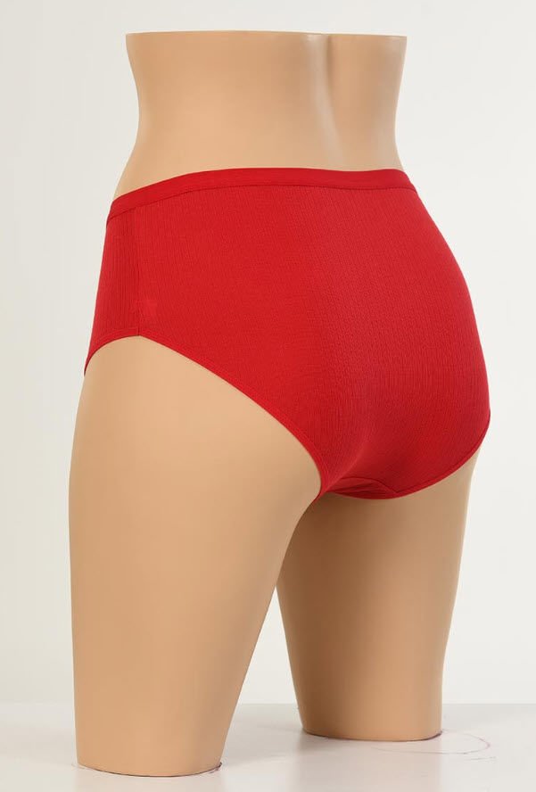 Dondeza Poliviskon Kalın Raporlu Bayan Battal Külot 6'lı