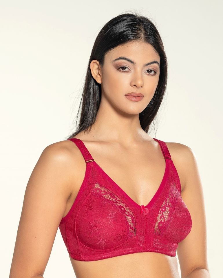 Liza Dantelli Toparlayıcı Sütyen 543