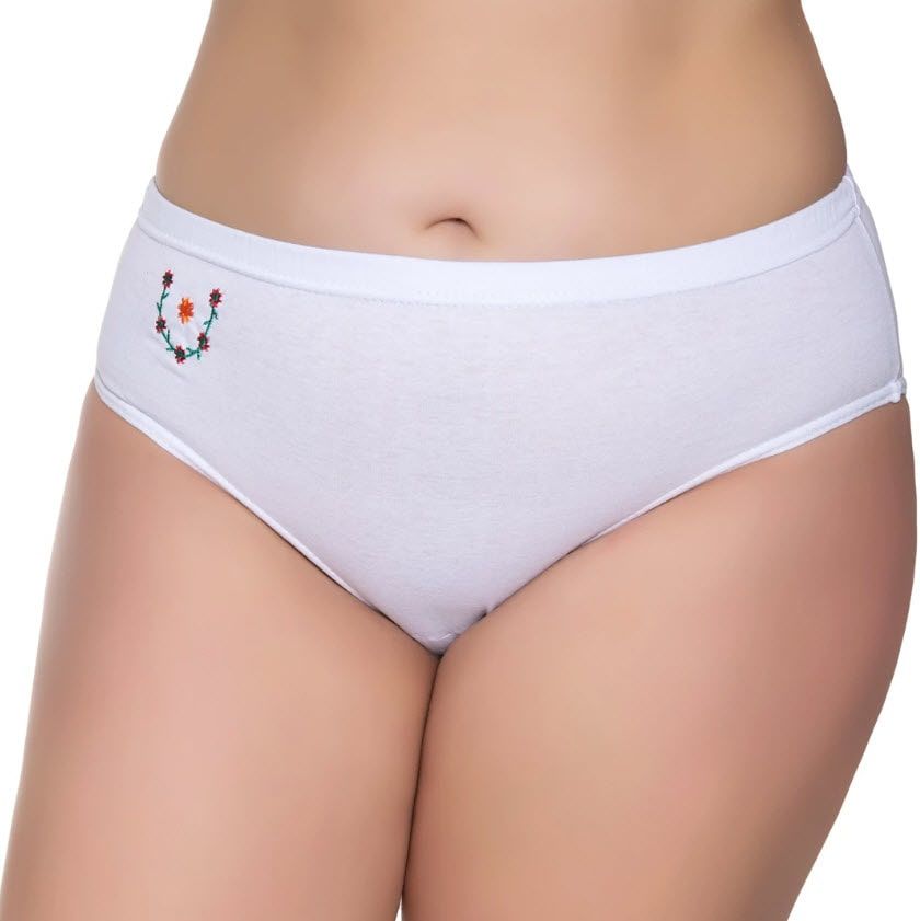 Sedef Yıldızı Kadın İşli Kom Slip Külot 1022 BEYAZ - 4