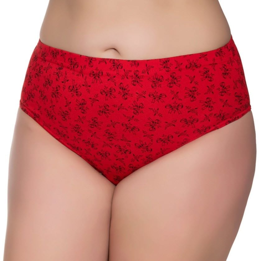 Sedef Yıldızı Kadın Penye Pastel Kom Slip Külot 1023 (Karışık Renk)