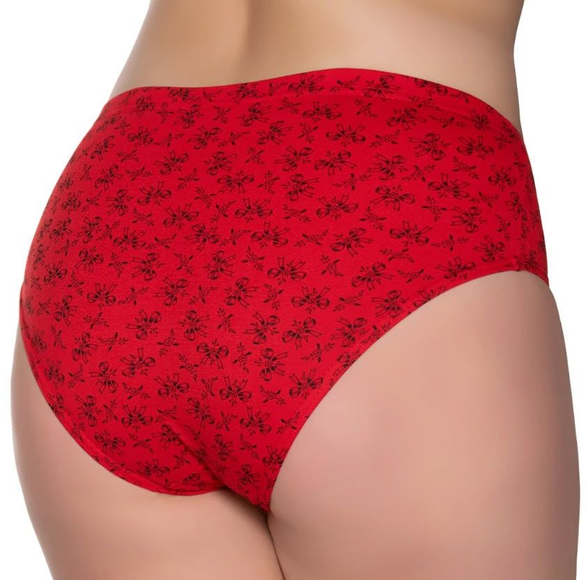 Sedef Yıldızı Kadın Penye Pastel Kom Slip Külot 1023 (Karışık Renk)