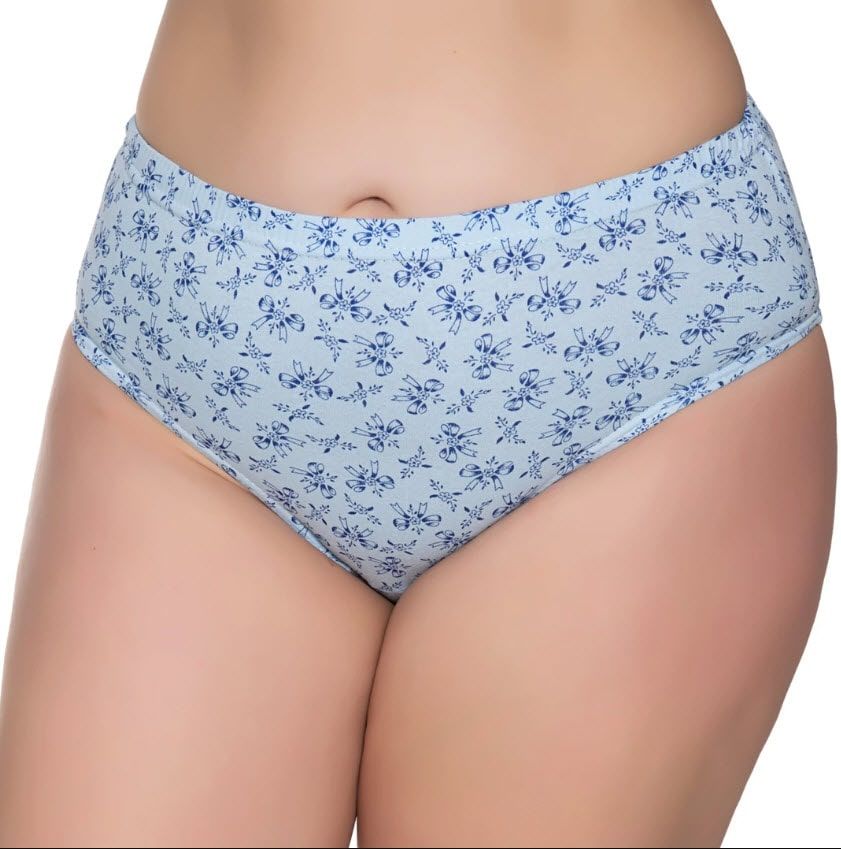 Sedef Yıldızı Kadın Penye Pastel Kom Slip Külot 1023 (Karışık Renk)