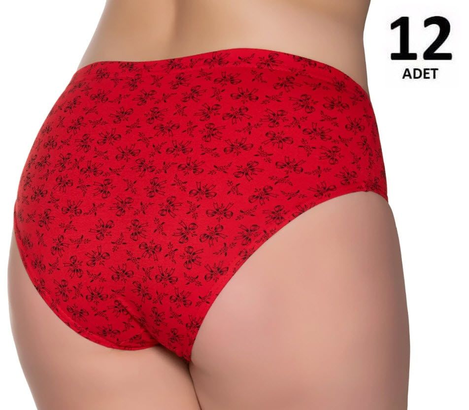 Sedef Yıldızı Kadın Penye Pastel Kom Slip Külot 12'li 1023 (Karışık Renk)