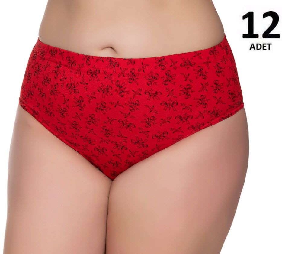 Sedef Yıldızı Kadın Penye Pastel Kom Slip Külot 12'li 1023 (Karışık Renk)